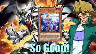 SECRET RED-EYES SUPPORT YOU SHOULD TRY! Burn Red-Eyes Gets Easier with the new Dragonic Warrior!