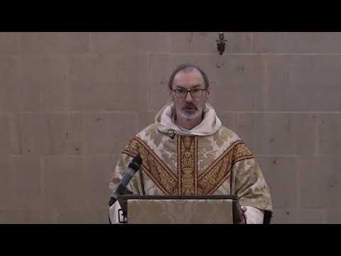 Feast of St Thomas Aquinas - Fr Richard Conrad OP