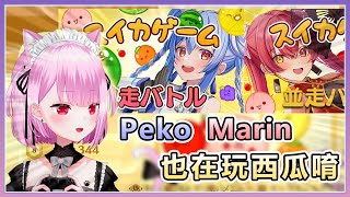 [Vtub] 三毛貓與兔子的量子糾纏