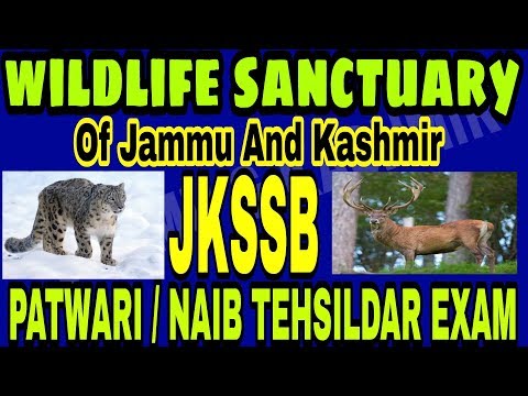 download lagu mp3 mp4 Wildlife Sanctuary In Jammu And Kashmir, download lagu Wildlife Sanctuary In Jammu And Kashmir gratis, unduh video klip Wildlife Sanctuary In Jammu And Kashmir