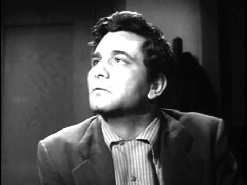 87TH PRECINCT  The Pigeon Peter Falk