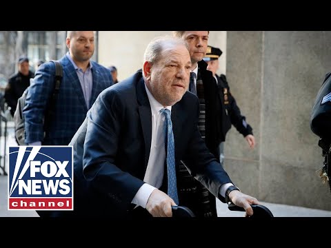 'The Five' reacts to Harvey Weinstein's conviction