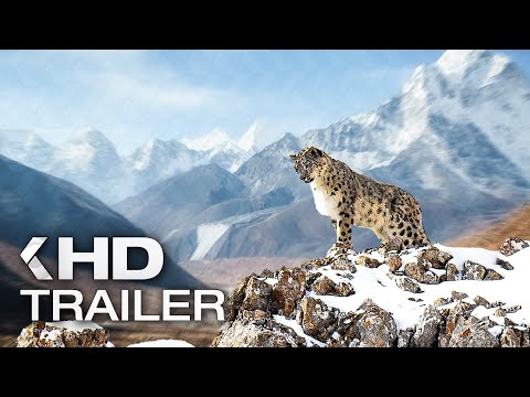 THE VELVET QUEEN Trailer (2021)