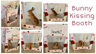 Pet Kissing Booth | Inspired By Jenna Marbles