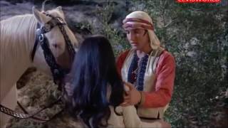 ELVIS PRESLEY,  MY DESERT SERENADE