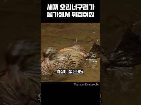 아이콘