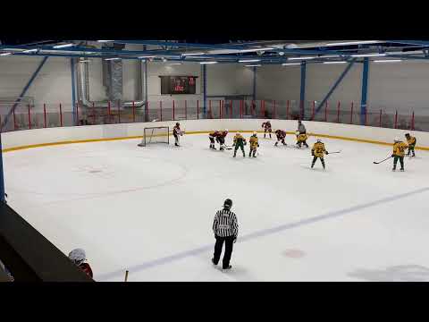 Ilves vihreä -Kiekko Laser