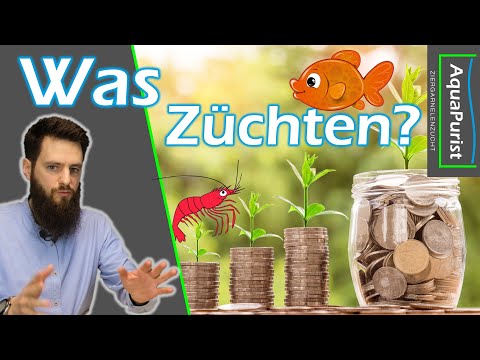 Breeding & Selling: Which animals are worthwhile?