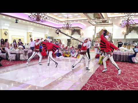 Ansambli Dardania Tropojë (vallja 1)