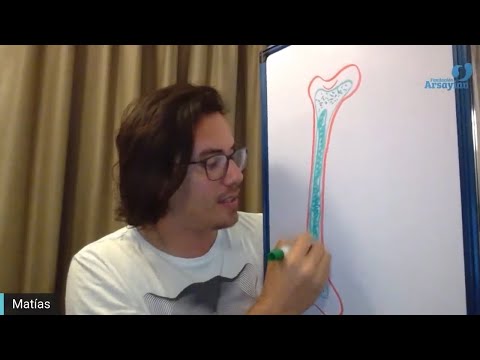 Day 299 Edición en Español - OSEO - Spanish edit- Matias De Stefano