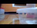 Slime With Ariel Part 1