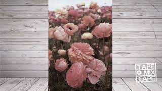 COIN - Growing Pains