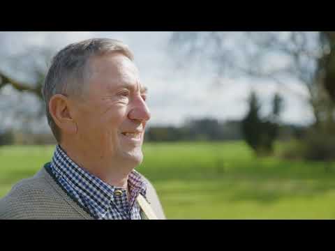 Des is mei Hoamat - DIE PARTYKROCHA