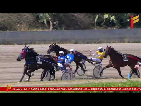 III Corsa del 7 Maggio 2023 - 5 Anni ed oltre - Metri 1600 - Gentlemen