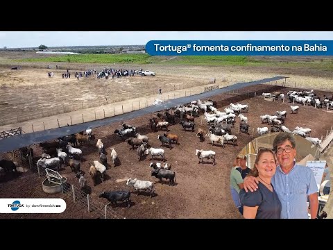 Tortuga® fomenta confinamento na Bahia | Noticiário Tortuga