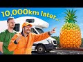I Drove To Every Big Fruit In The Country