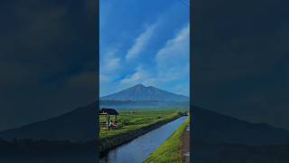 Download lagu Lanang Tenan | Anak lanang kudu iso Nyonggo abote donyo #ndarboy #lanangejagat #musicviral #shorts mp3