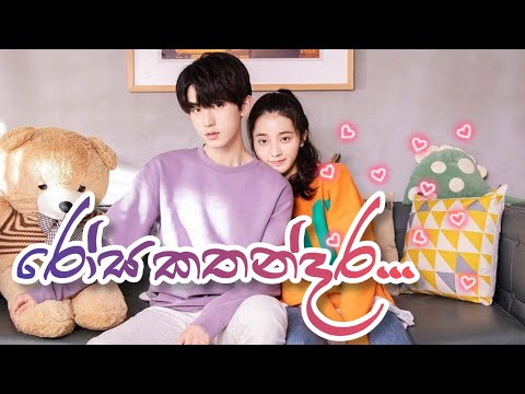 Rosa kathandara (රෝස කතන්දර) | 💖 Korean mix sinhala songs 💖 | Meeting you drama mix | SL Queen Music