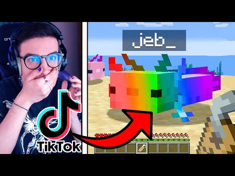 10 *VIRAL* TIKTOKS TO USE ON MINECRAFT 1.17!!