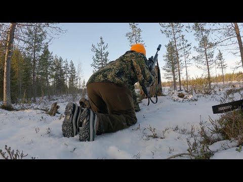 Hunting vlog from Finnish Lapland, got to shoot black grouse!