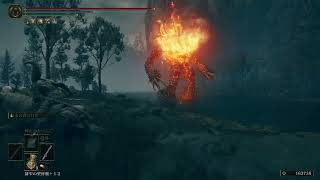 【ELDEN RING】忘れた頃のDLC#6