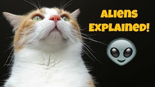 Cat Explains Aliens | Conspiracy Theory