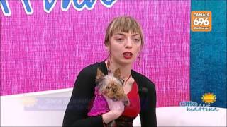 bastano-cinque-centesimi-per-sfamare-un-cucciolo-ecco-come