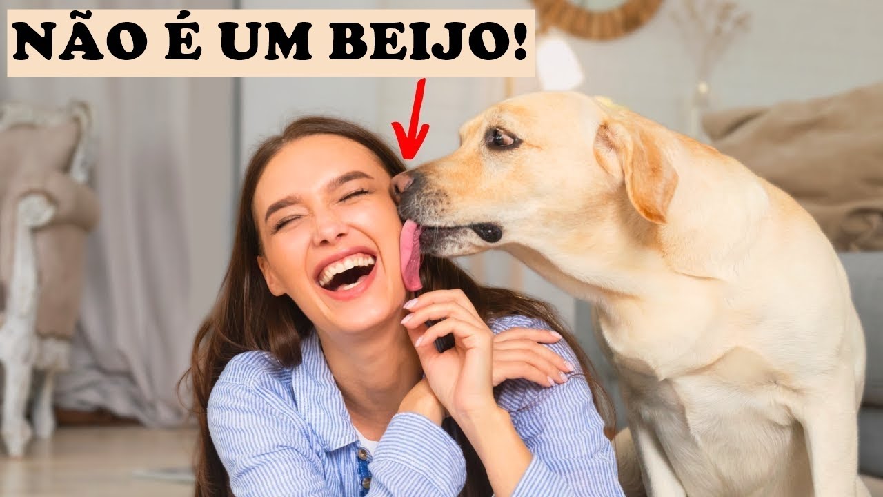 Você sabe PORQUE seu CACHORRO LAMBE você? (Pode ser NOJENTO...)