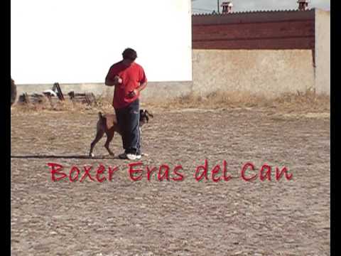 HEVIA Y EUSEBIO PREPARANDO LA BH