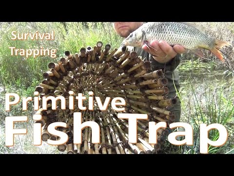 Primitive Survival Fish Trap -Build and Set-