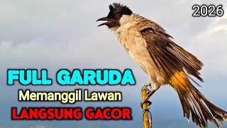 Download lagu Suara Burung Kutilang Gacor Terbaru 2026 Ampuh Untuk Masteran Pikat mp3