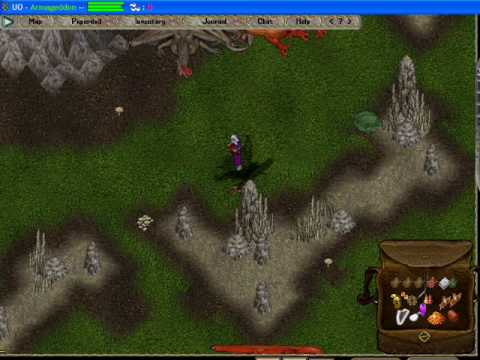 Ultima Online - Uodreams - Dragon in Humility con bardo