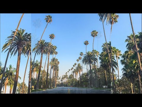 Justin Bieber x Kygo Type Beat "Animal" (Prod.by Forrest Beats)