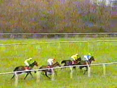 1999 - Kempton - Pertemps Christmas Hurdle - Dato Star