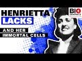 Henrietta Lacks: The Immortal Woman