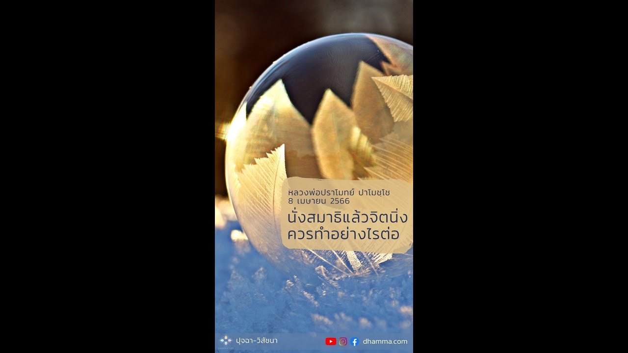 รูปภาพ ดาวโหลด Google Youtube SEO