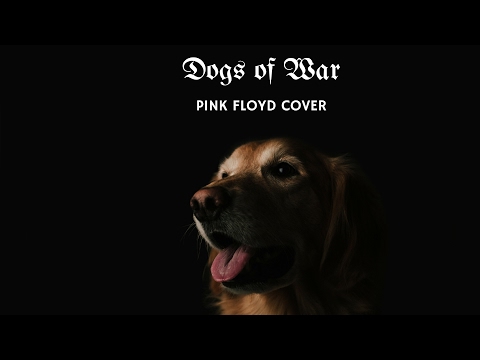 mb3 - dogs of war