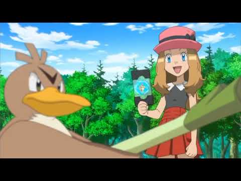 Farfetch'd, Galarian Farfetch'd, and Sirfetch'd Pokédex Entries..wmv