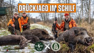 Starke Sauen stecken im Schilf! – Drückjagd mit Feld &amp; Jagd – Hunt on Demand Ausschnitte