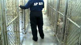 All Phase K9: Cadaver Dog Works in Kennel