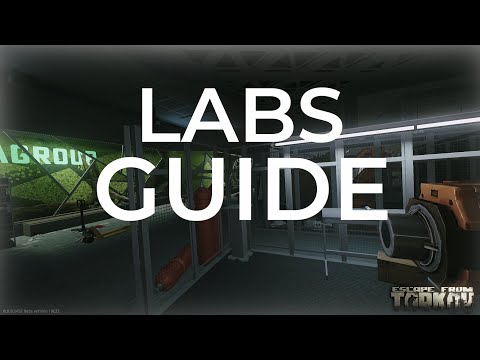 LABS GUIDE