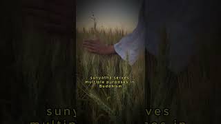 🕉️ "Buddhist Emptiness: 🌌 A Path to Discovering Your Buddha-Nature" 🧘‍♂️🌸#shortvideo