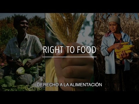 FAO Serie sobre políticas: Derecho a la alimentación
