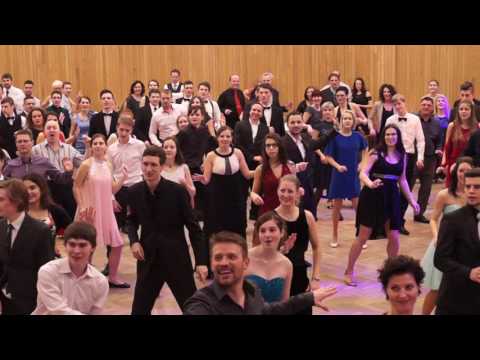 Jarní ples 2017 / I - Dance for people 2017