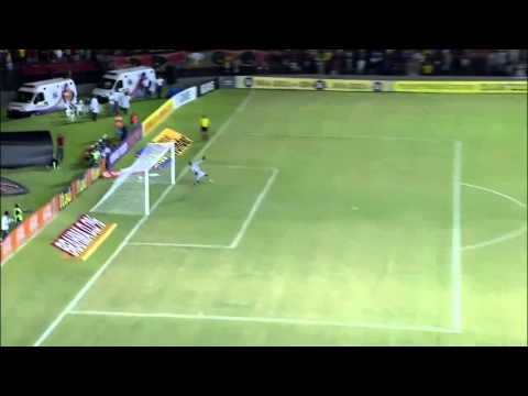 Golaço de Neto Baiano - Sport x Botafogo | Serie A 2014 | HD