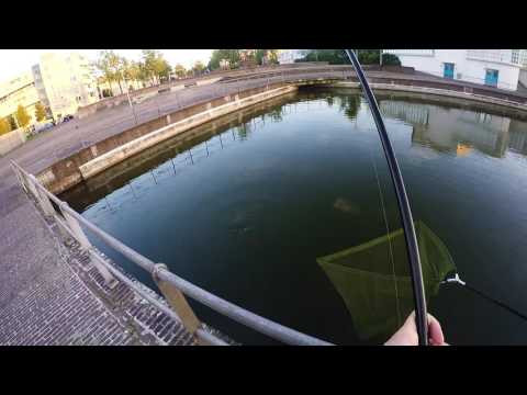 Urban bread bomb fishing