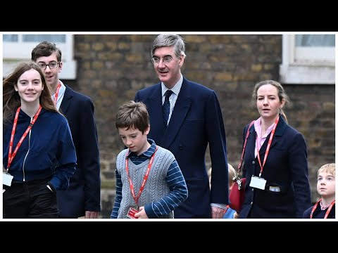 Journalist ATTACKS Jacob Rees-Mogg For Having Kids 🤦‍♂️