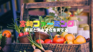 ひたすら囲碁【7段戦】
