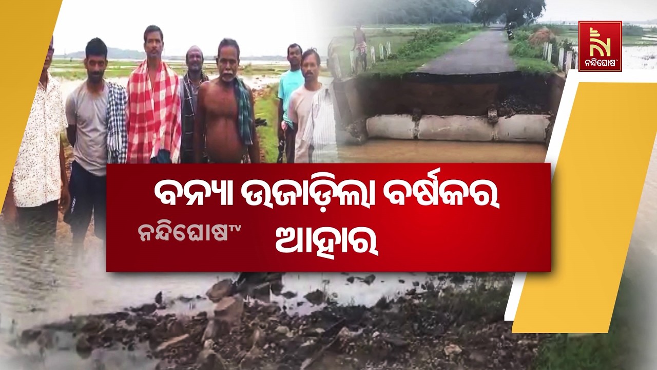ବନ୍ୟା ଉଜାଡ଼ିଲା ବର୍ଷକର ଆହାର । ଜଳମଗ୍ନ ହେକ୍ଟର ହେକ୍ଟର ଚାଷ