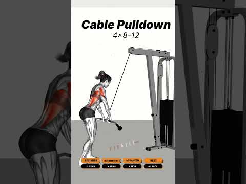 Ultimate Pull Day Workout | Back & Biceps 🔥#pullday #fitkill
